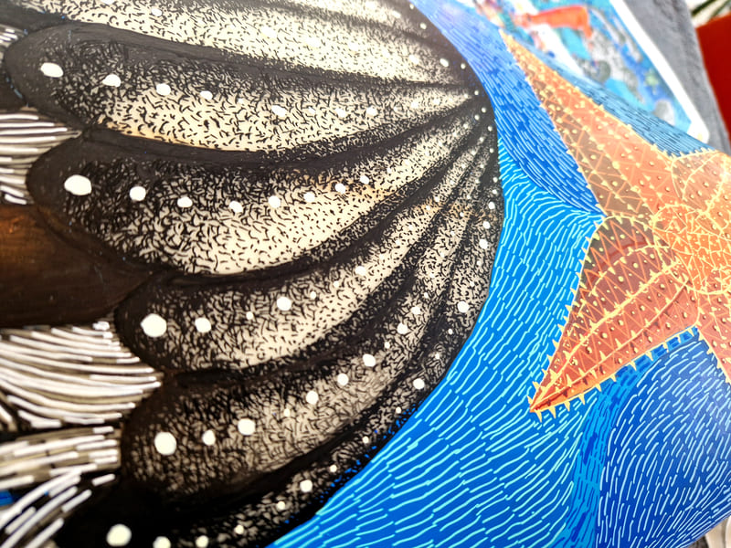 Ilustradora para tablas de Surf y Skate